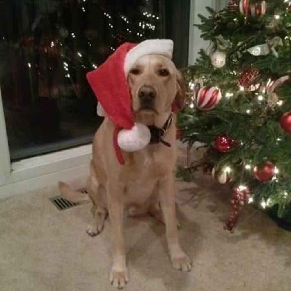 Meet your Posher, Kristin